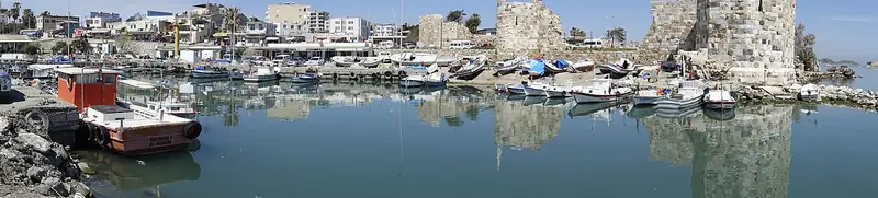 Yumurtalık