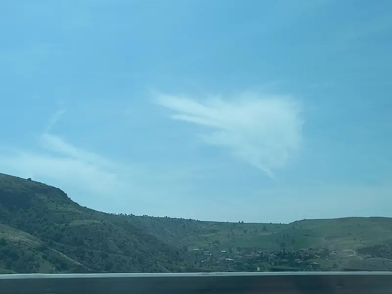 Suluova