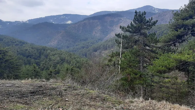 Kızılcahamam ve Soğuksu Milli Parkı