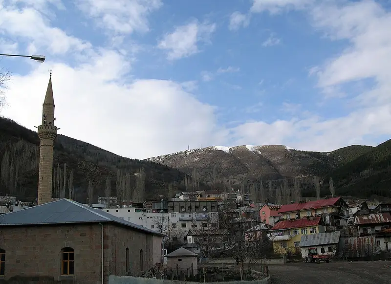 Posof Merkez Camii