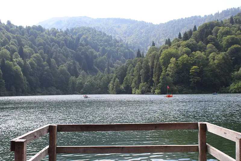 Borçka
