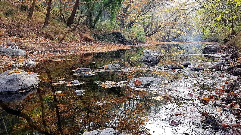 Değirmenboğazı Tabiat Parkı