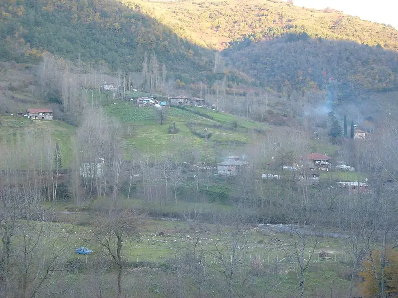 Kurucaşile ve Tekkeönü Tersaneleri