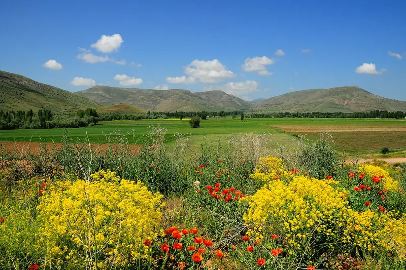 Korgan Köprüsü (Akşar)