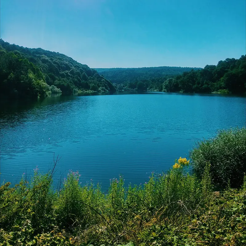 Küçükelmalı Tabiat Parkı (Pazaryeri)
