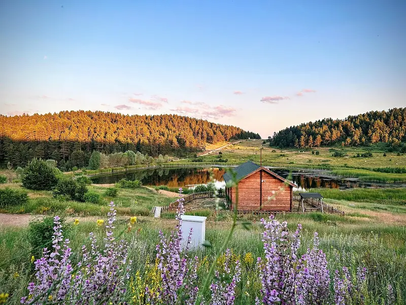Koca Meşe, Büyük Yayla ve Hazım Dağlı Tabiat Parkı (Yapraklı)