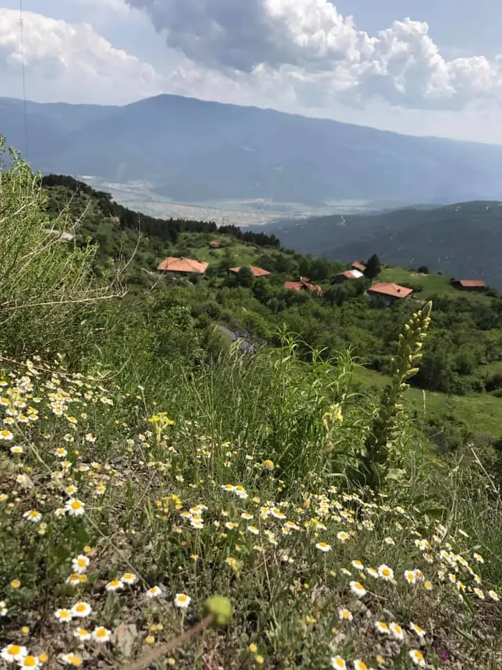 Kargı Yaylaları ve Abdullah Yaylası