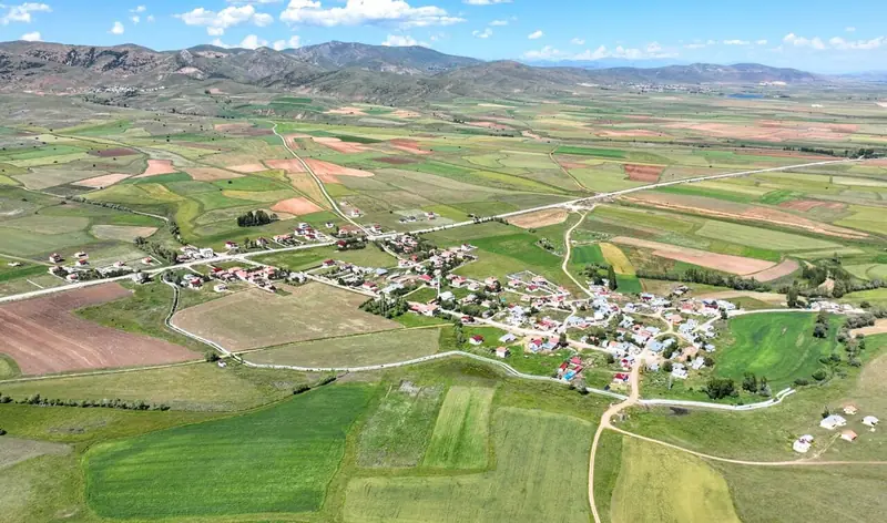 Köse