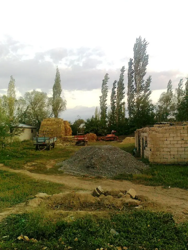 Aralık