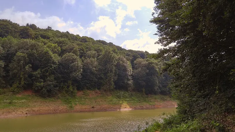 Sarıyer ve Belgrad Ormanı