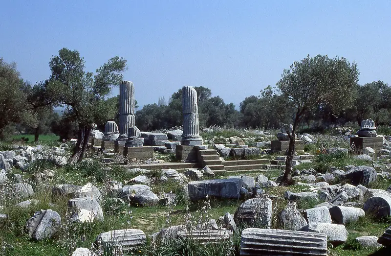 Sığacık ve Teos Antik Kenti