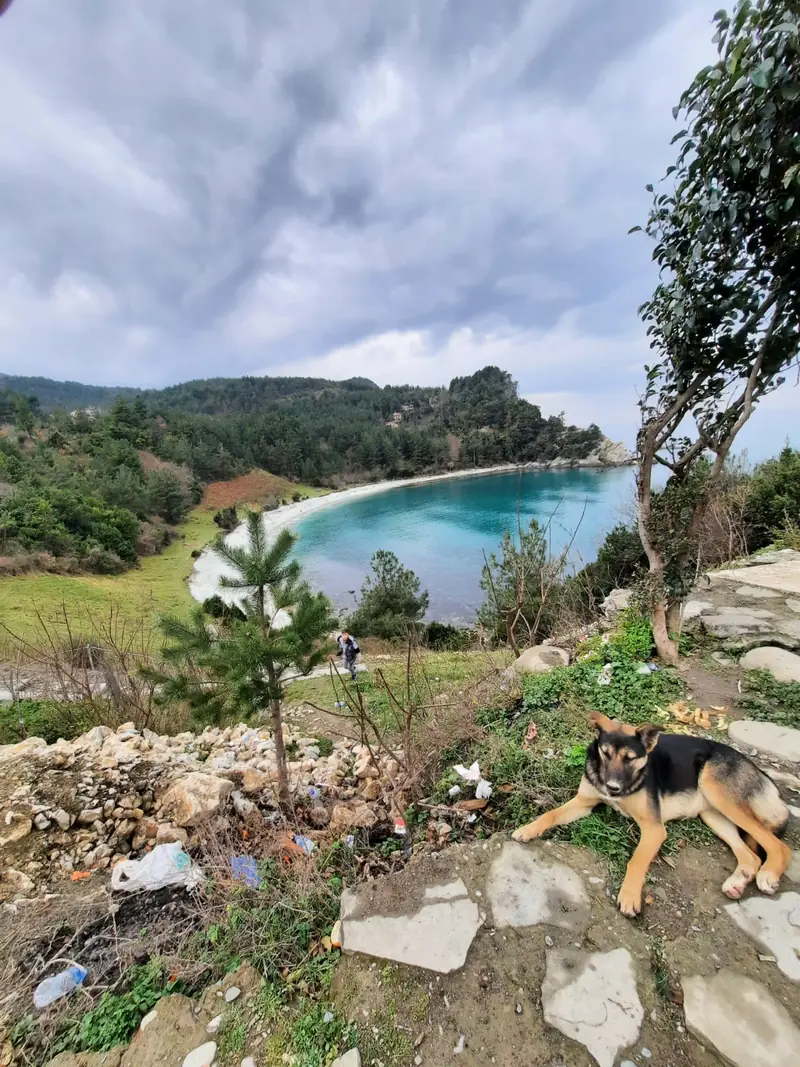 Çatalzeytin