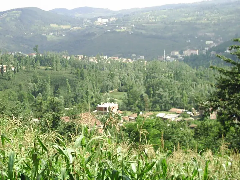 Gölköy