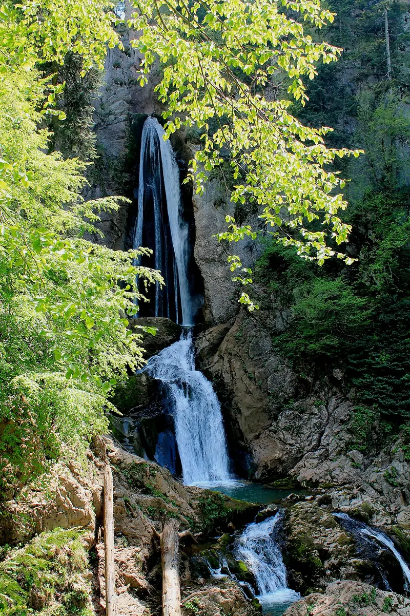 Çatak Kanyonu Tabiat Parkı (Türkeli)