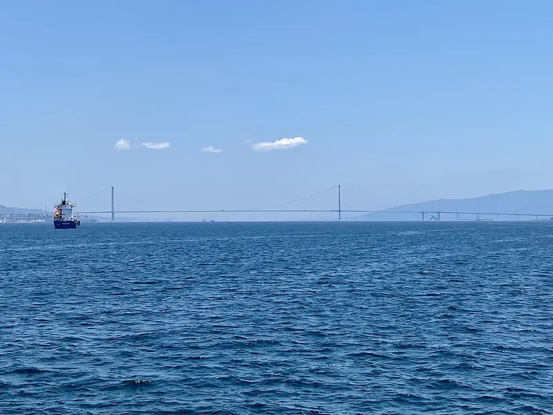 Osmangazi Köprüsü ve Hersek